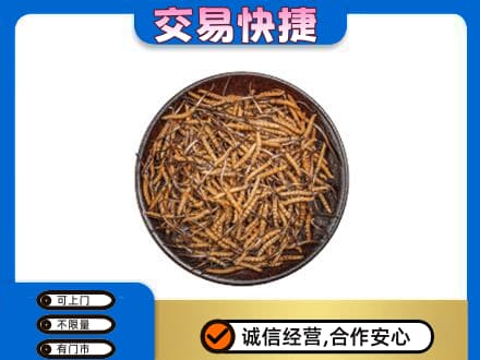 漳州高价回收散虫草